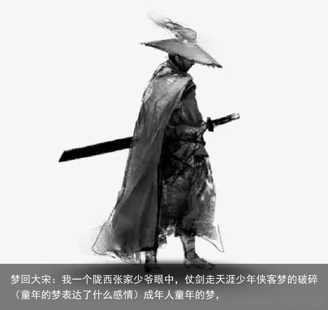 梦回大宋：我一个陇西张家少爷眼中，仗剑走天涯少年侠客梦的破碎（童年的梦表达了什么感情）成年人童年的梦，