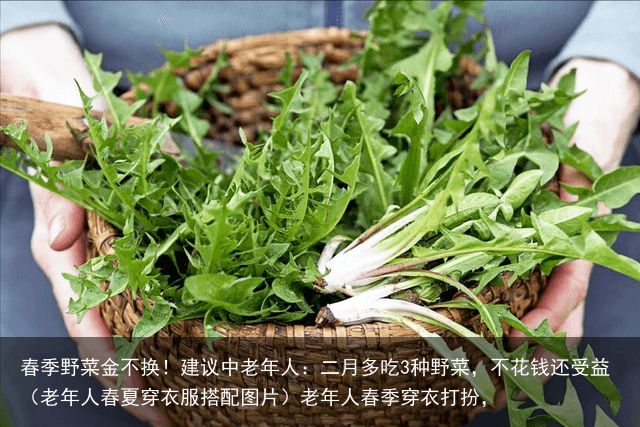 春季野菜金不换！建议中老年人：二月多吃3种野菜，不花钱还受益（老年人春夏穿衣服搭配图片）老年人春季穿衣打扮，