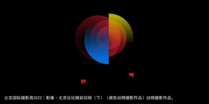 北京国际摄影周2022｜影像·北京论坛精彩回顾（下）（濒危动物摄影作品）动物摄影作品，