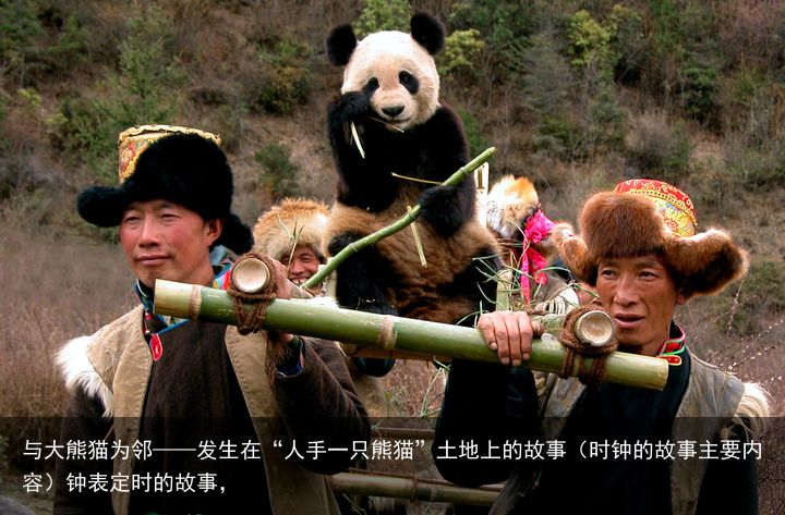与大熊猫为邻——发生在“人手一只熊猫”土地上的故事（时钟的故事主要内容）钟表定时的故事，