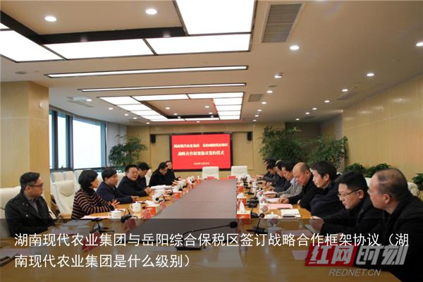 湖南现代农业集团与岳阳综合保税区签订战略合作框架协议（湖南现代农业集团是什么级别）