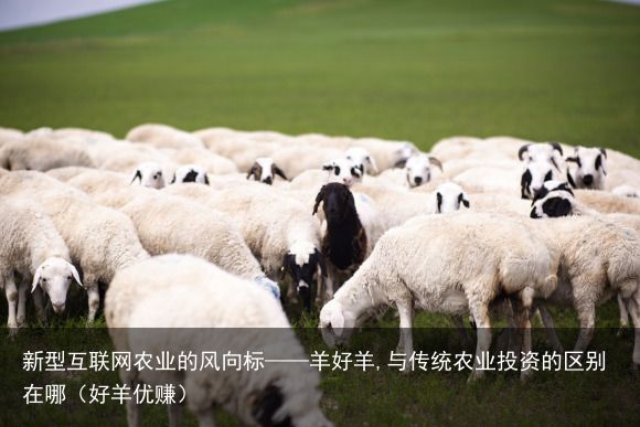 新型互联网农业的风向标——羊好羊,与传统农业投资的区别在哪（好羊优赚）