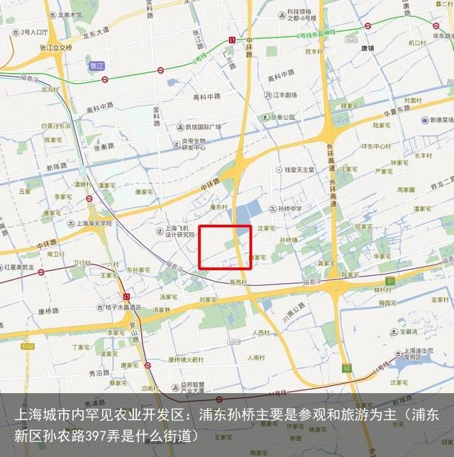 上海城市内罕见农业开发区：浦东孙桥主要是参观和旅游为主（浦东新区孙农路397弄是什么街道）