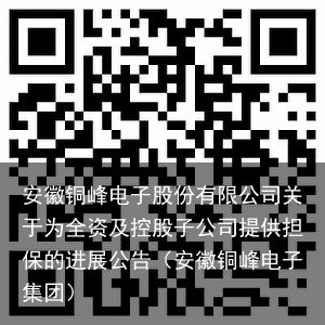 安徽铜峰电子股份有限公司关于为全资及控股子公司提供担保的进展公告（安徽铜峰电子集团）