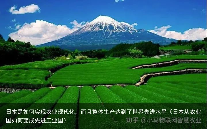 日本是如何实现农业现代化，而且整体生产达到了世界先进水平（日本从农业国如何变成先进工业国）