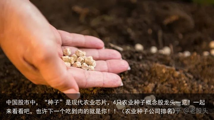 中国股市中，“种子”是现代农业芯片，4只农业种子概念股龙头一览！一起来看看吧，也许下一个吃到肉的就是你！！（农业种子公司排名）