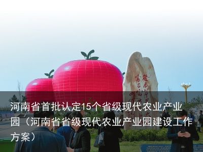 河南省首批认定15个省级现代农业产业园（河南省省级现代农业产业园建设工作方案）