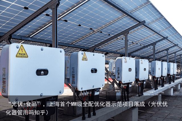 “光伏+食品”，上海首个MW级全配优化器示范项目落成（光伏优化器管用吗知乎）