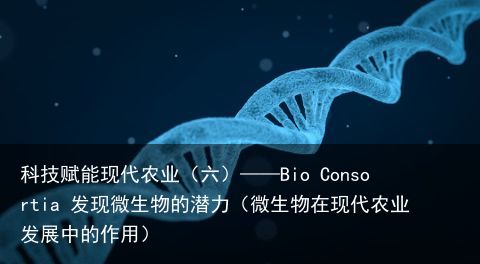 科技赋能现代农业（六）——Bio Consortia 发现微生物的潜力（微生物在现代农业发展中的作用）