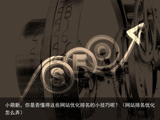 小萌新，你是否懂得这些网站优化排名的小技巧呢？（网站排名优化怎么弄）