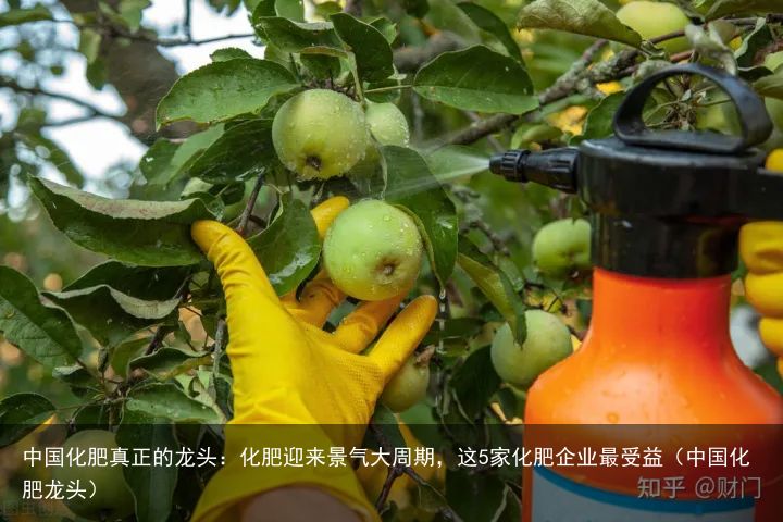 中国化肥真正的龙头：化肥迎来景气大周期，这5家化肥企业最受益（中国化肥龙头）