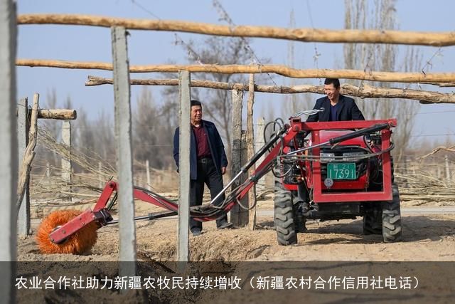 农业合作社助力新疆农牧民持续增收（新疆农村合作信用社电话）