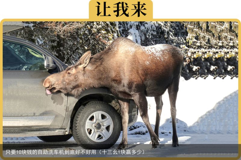 只要10块钱的自助洗车机到底好不好用（十三幺1块赢多少）