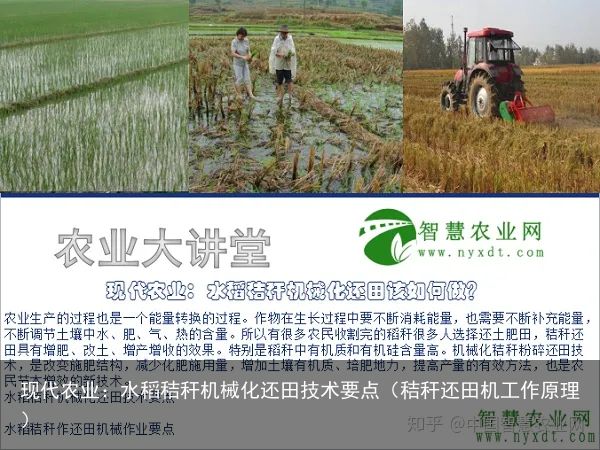 现代农业：水稻秸秆机械化还田技术要点（秸秆还田机工作原理）