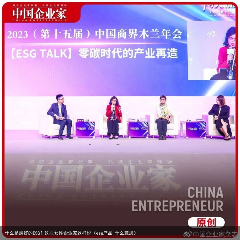 什么是最好的ESG？这些女性企业家这样说（esg产品 什么意思）