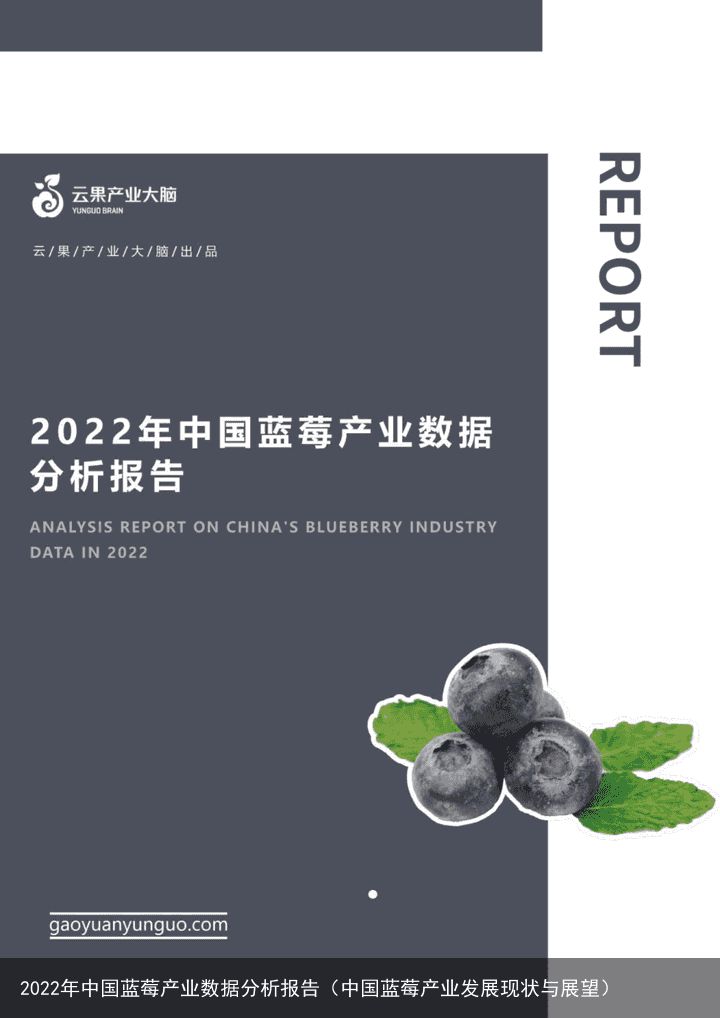 2022年中国蓝莓产业数据分析报告（中国蓝莓产业发展现状与展望）