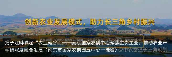 扬子江畔崛起“农业硅谷”——南京国家农创中心聚焦主责主业，推动农业产学研深度融合发展（南京市国家农创园五中心一硅谷）