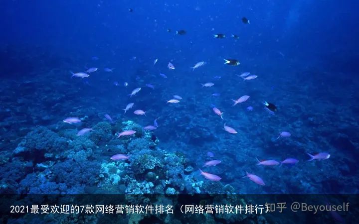 2021最受欢迎的7款网络营销软件排名（网络营销软件排行）