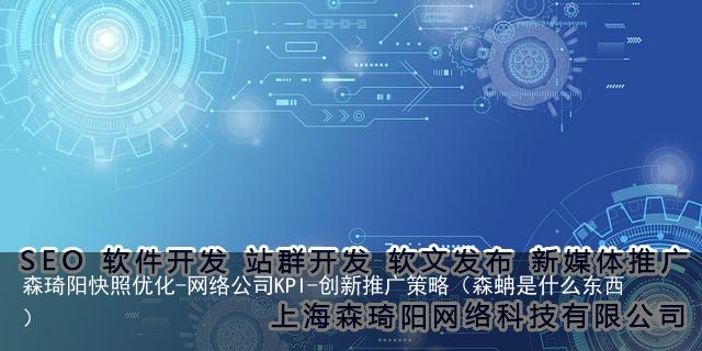 森琦阳快照优化-网络公司KPI-创新推广策略（森蚺是什么东西）