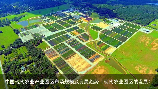 中国现代农业产业园区市场规模及发展趋势（现代农业园区的发展）