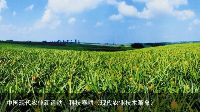 中国现代农业新运动：科技春耕（现代农业技术革命）