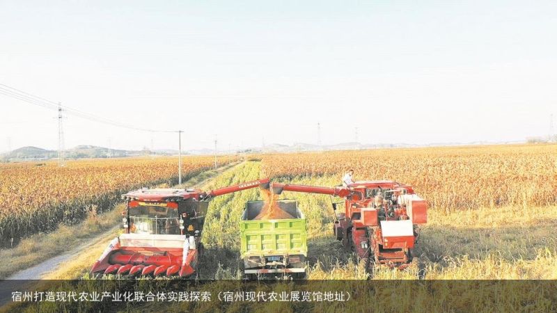 宿州打造现代农业产业化联合体实践探索（宿州现代农业展览馆地址）