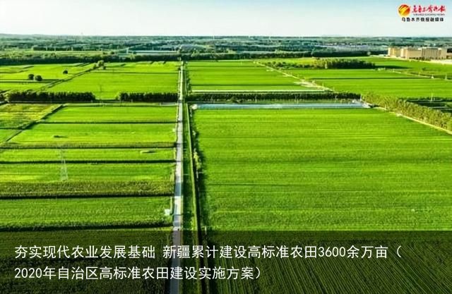 夯实现代农业发展基础 新疆累计建设高标准农田3600余万亩（2020年自治区高标准农田建设实施方案）