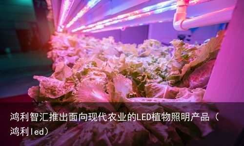 鸿利智汇推出面向现代农业的LED植物照明产品（鸿利led）