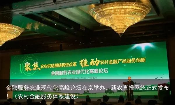 金融服务农业现代化高峰论坛在京举办，新农直报系统正式发布！（农村金融服务体系建设）