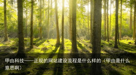 甲由科技——正规的网站建设流程是什么样的（甲由是什么意思啊）