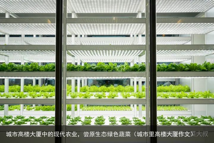 城市高楼大厦中的现代农业，尝原生态绿色蔬菜（城市里高楼大厦作文）