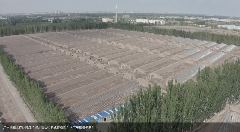 广州援疆工作队打造“综合性现代农业体验园”（广东援疆领队）