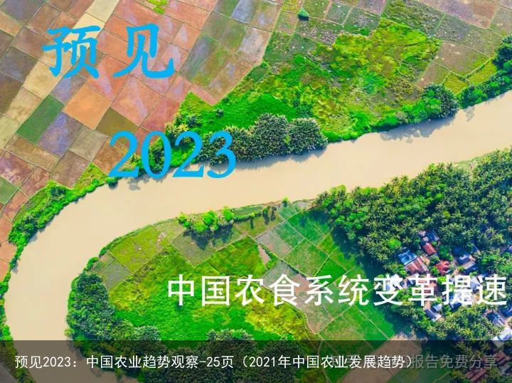 预见2023：中国农业趋势观察-25页（2021年中国农业发展趋势）