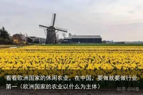 看看欧洲国家的休闲农业，在中国，要做就要做行业第一（欧洲国家的农业以什么为主体）
