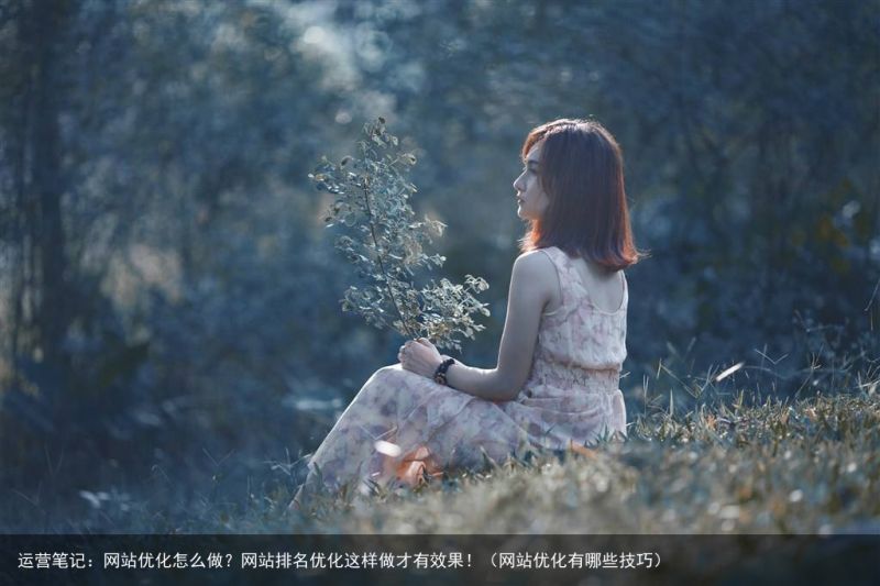 运营笔记：网站优化怎么做？网站排名优化这样做才有效果！（网站优化有哪些技巧）