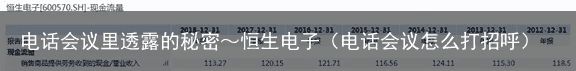 电话会议里透露的秘密～恒生电子（电话会议怎么打招呼）