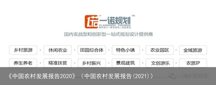 《中国农村发展报告2020》（中国农村发展报告(2021)）