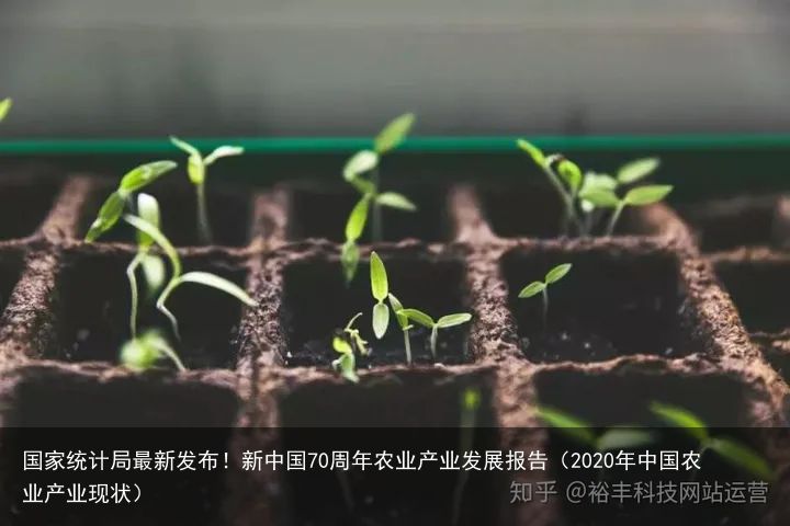 国家统计局最新发布！新中国70周年农业产业发展报告（2020年中国农业产业现状）