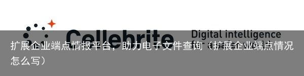 扩展企业端点情报平台，助力电子文件查询（扩展企业端点情况怎么写）