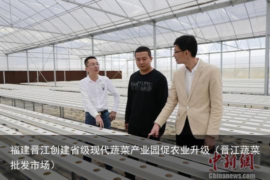福建晋江创建省级现代蔬菜产业园促农业升级（晋江蔬菜批发市场）