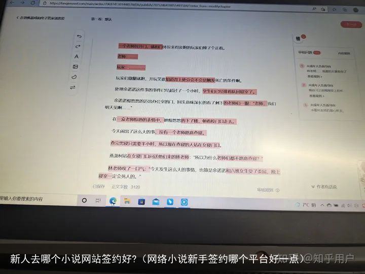 新人去哪个小说网站签约好?（网络小说新手签约哪个平台好一点）