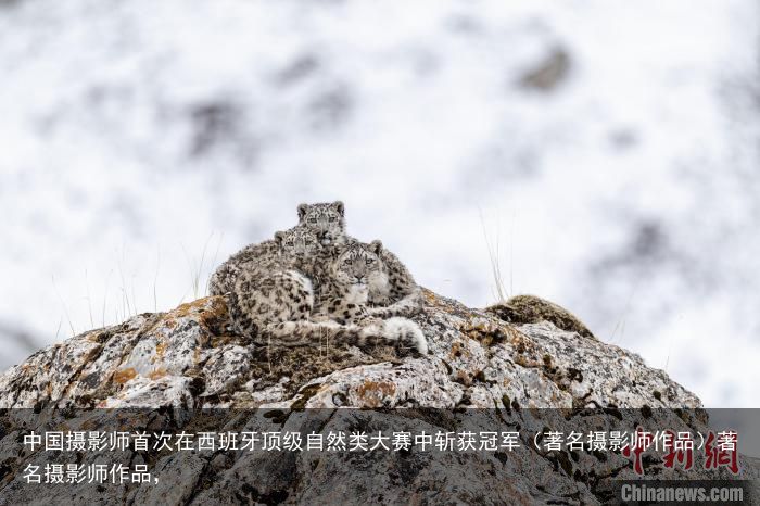 中国摄影师首次在西班牙顶级自然类大赛中斩获冠军（著名摄影师作品）著名摄影师作品，
