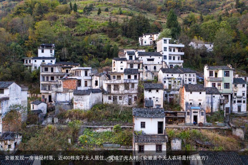 安徽发现一座神秘村落，近400栋房子无人居住，变成了无人村（安徽首个无人农场是什么地方）