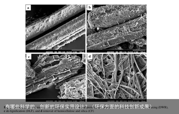 有哪些科学的、创新的环保实用设计？（环保方面的科技创新成果）