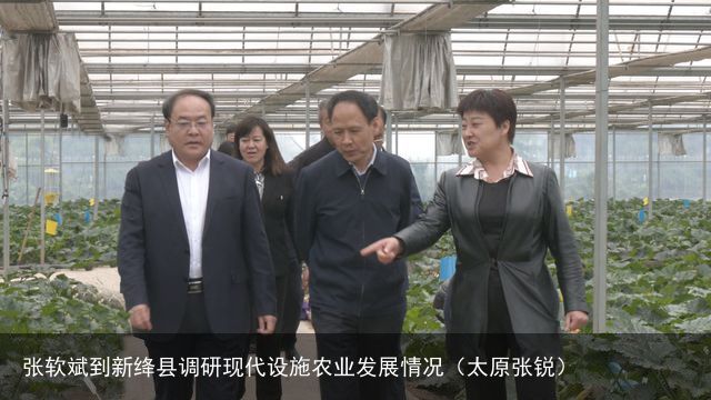 张软斌到新绛县调研现代设施农业发展情况（太原张锐）