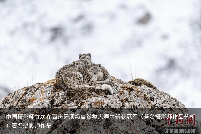 中国摄影师首次在西班牙顶级自然类大赛中斩获冠军（著名摄影师作品分析）著名摄影师作品，