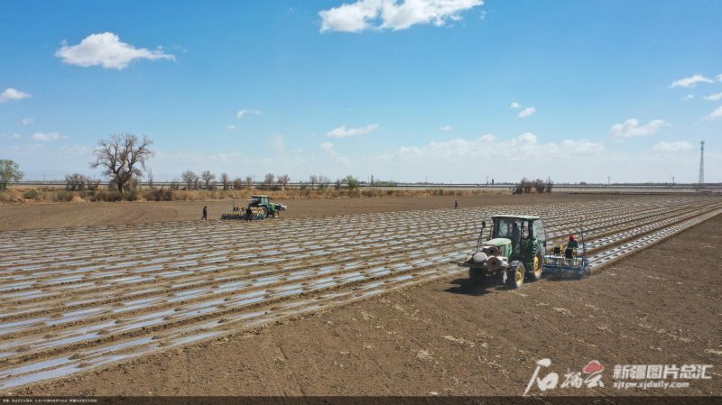 新疆：农业社会化服务，让农户无缝衔接现代农业（新疆农业现代化视频）