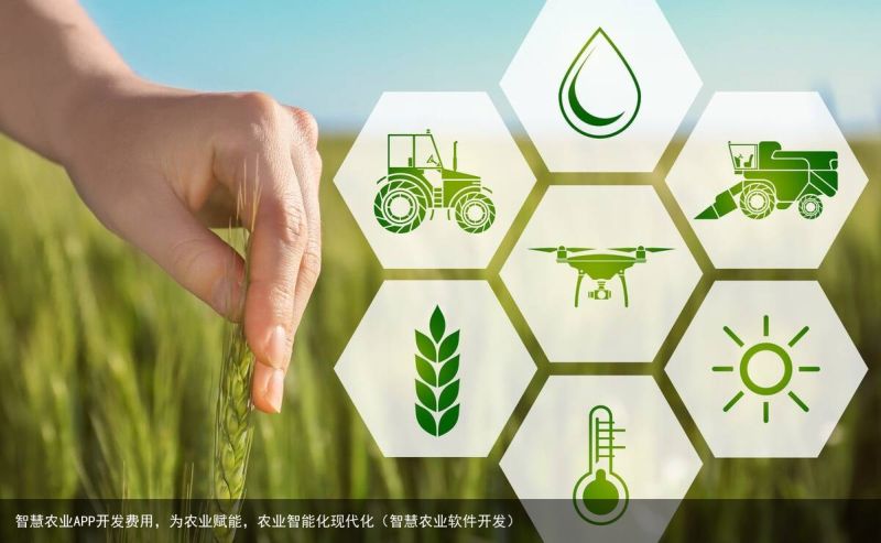智慧农业APP开发费用，为农业赋能，农业智能化现代化（智慧农业软件开发）
