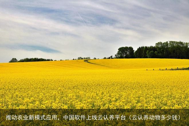 推动农业新模式应用，中国软件上线云认养平台（云认养动物多少钱）