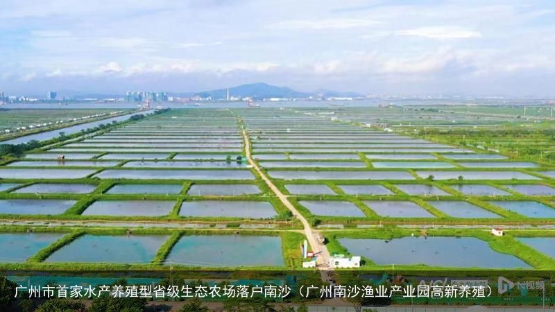 广州市首家水产养殖型省级生态农场落户南沙（广州南沙渔业产业园高新养殖）
